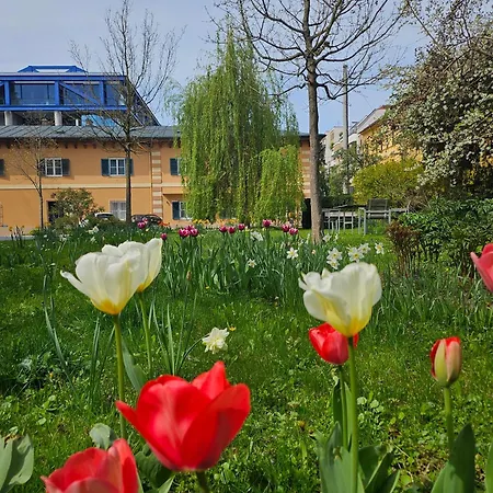 Orange Flat By Grazrentals Highest Standard & Free Parking Daire Graz